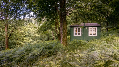 The Chalet at Tan Yr Ogof surrounded by trees and ferns, Gwynedd